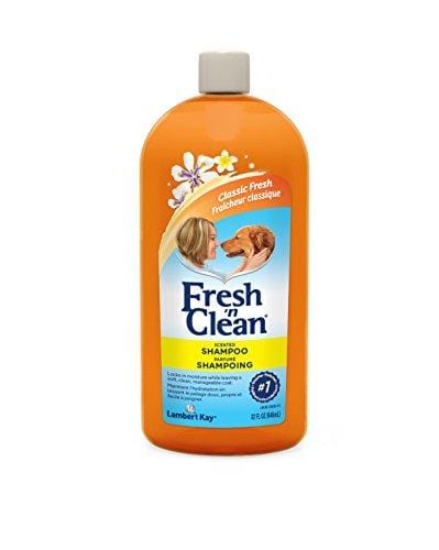 Fresh 'n Clean Fresh 'n Clean Scented Shampoo