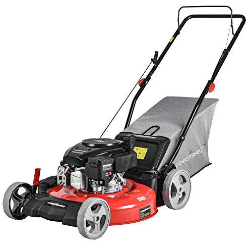 PowerSmart DB2321PR Gas Powered 170cc Engine Push Lawn Mower with Bag (DB2321PR)