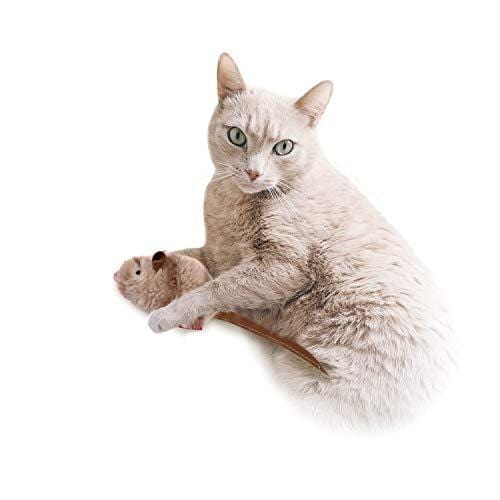 Gigwi Chirpy Cat Mouse Toy Squeak- Cat Toys Interactive Squeaking Mouse Cat Toy Melody Chaser Play N Squeak Kitten Toy, Mouse Sound Cat Toy for Boredom - Ultra Pickleball