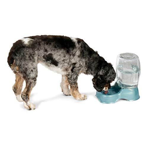 Petmate Pet Cafe Waterer Cat and Dog Water Dispenser 4 Sizes