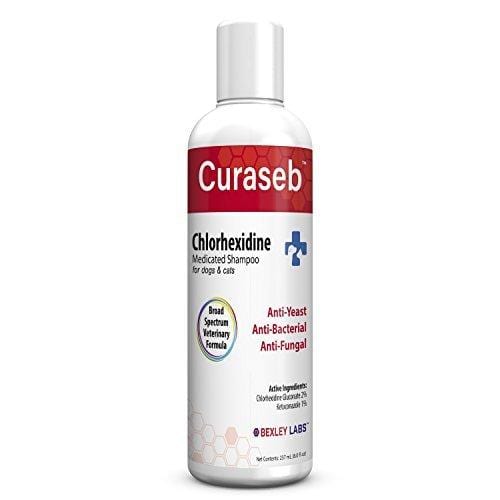 Curaseb Antifungal & Antibacterial Chlorhexidine Shampoo for Dogs & Cats w/ Ketoconazole & Aloe, Effective Against Ringworm, Pyoderma & Allergies, #1 Vet Antifungal Dog Shampoo, Satisfaction Guarantee