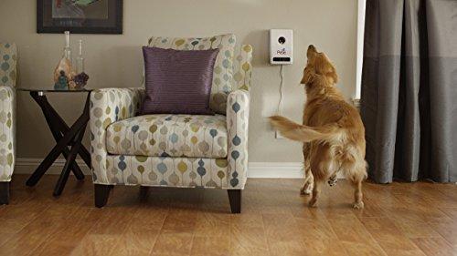 Petzi Treat Cam: Wi-Fi Pet Camera & Treat Dispenser, Enabled with Amazon Dash Replenishment