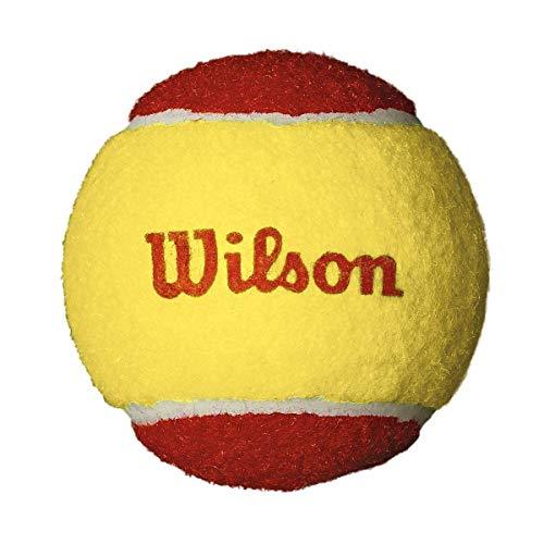 Wilson Starter Red Tennis Balls, 36-Pack