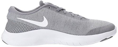 Nike Men's Flex Experience Run 7 Shoe, Wolf White-Cool Grey, 10 Regular US