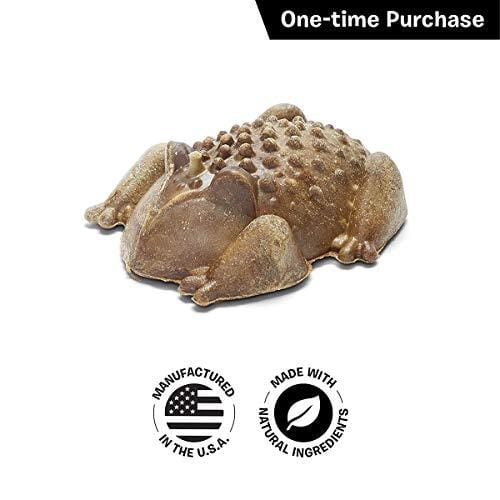 BarkBox Starter Kit Assortment Dog Plush Toys, Chew Toys, Squeak Toys, All-Natural Treats/Chews Made in The USA (2 Toys, 2 Treats & 1 Chew (USA Made), Large Dog)