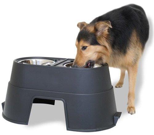 OurPets Comfort Feeder Healthy Pet Diner Raised Dog Bowls Elevated Feeder Double Stainless Steel Bowls with Stand