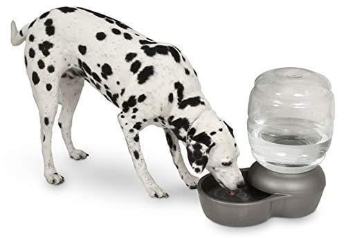 Petmate Replendish Gravity Waterer with Microban Cat and Dog Water Dispenser 4 Sizes