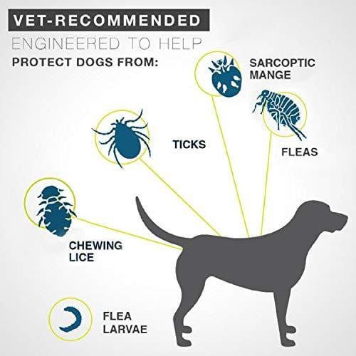 zpetii Flea & Tick Collar for Dog Waterproof Collars Fits All Large Medium & Small Dogs for 8 Months 2 Pack