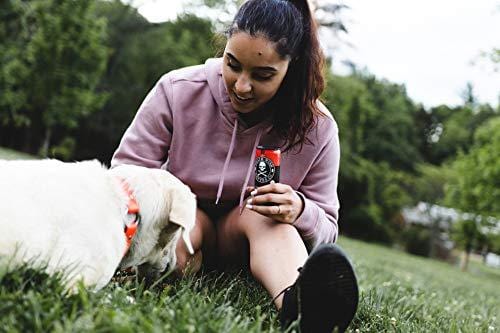 Death Wish Coffee, Cold Brew Cans, The World's Strongest Coffee, Organic Iced Coffee Drink - 8 Ounces - 4 Pack (Slightly Sweetened Black)