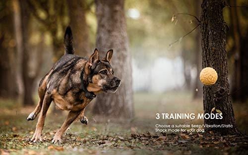 ieGeek Dog Training Collar for 2 Dogs - Rechargeable and Waterproof Shock Collar - 1960ft Blind Operation Remote Controlled Electric Collar with Tone/ Vibration/ Shock for Small/ Medium/ Large Dogs