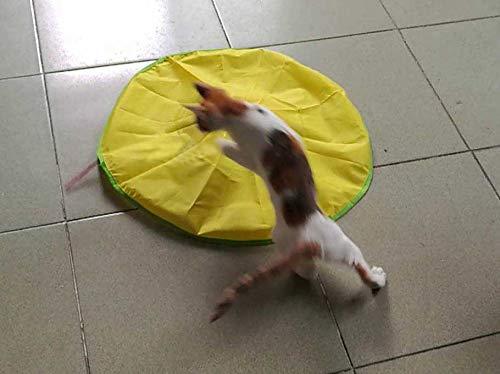 AOLIKES Electronic Cat Toy Interactive, V4 Version Cat Gym - Running Tool with Remote Control