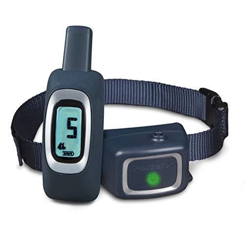 PetSafe Remote Spray Trainer, Training Collar and Remote for Dogs 8 lb. and Up, Water Resistant with Citronella Spray