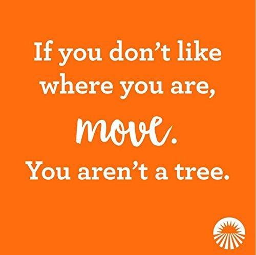 Amazing Grass, Raw Reserve Green Superfood Organic Powder with Wheat Grass and Greens, Flavor: Berry, 30 Servings