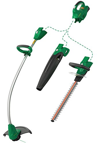 Weed Eater BT301i, 20-Volt Cordless Interchangeable Combo, 3 tools in 1  (includes 2.5Ah battery)