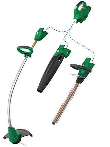 Weed Eater BT301i, 20-Volt Cordless Interchangeable Combo, 3 tools in 1  (includes 2.5Ah battery)