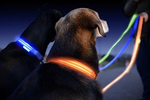 LED Dog Collar - USB Rechargeable - Available in 6 Colors & 6 Sizes - Makes Your Dog Visible, Safe & Seen