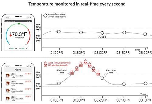 RV PetSafety | Pet Monitor 4G Powered by Verizon Cellular - No WiFi Needed - Pet Environment Temperature & Humidity Monitor - 24/7 Alerts - Built with Digital Display & GPS Tracking