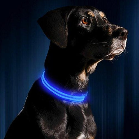 LED Dog Collar - USB Rechargeable - Available in 6 Colors & 6 Sizes - Makes Your Dog Visible, Safe & Seen