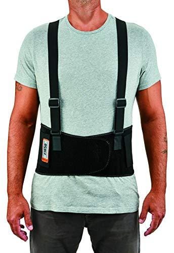Ergodyne ProFlex 1650 Elastic Back Support, Large