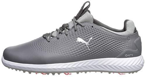 Puma Golf Men's Ignite Pwradapt Leather Golf Shoe, Quiet Shade Silver/Puma White, 13 M US