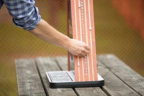 A-Holes Bean Bag Toss Game