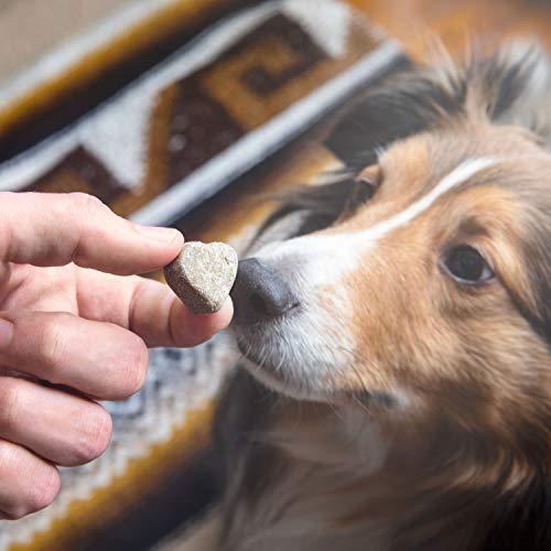 Organic Hemp Oil for Dogs with Calming Treats: Dog Anxiety Relief and Calm Aid for Hyperactive or Aggressive Pets - Daily Supplement to Support Joints, Healthy Skin and Coat - 2 Ounce Dropper Bottle