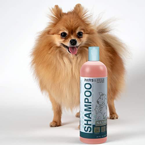 Natural Oatmeal Dog-Shampoo and Conditioner - 20oz Medicated Clinical Vet Formula Wash for All Pets Puppy & Cats - Made with Aloe Vera for Relieving Dry Itchy Skin