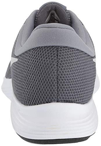 Nike Women's Revolution 4 Running Shoe, Dark Pure Platinum-Cool Grey, 11 Regular US