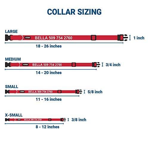 Personalized Dog Collar, Custom Collars Embroidered w/Pet Name & Phone Number - Blue, Black, Pink, Red & Orange Collars for Boy & Girl Dogs; 4 Adjustable Sizes: XSmall, Small, Medium, Large