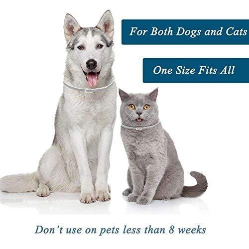 Flea and Tick Collar Prevention for Dogs & Cats Control for 8 Months with Natural Ingredients-Adjustable Waterproof Design