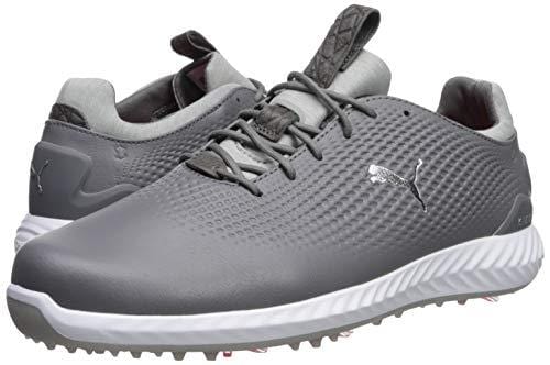 Puma Golf Men's Ignite Pwradapt Leather Golf Shoe, Quiet Shade Silver/Puma White, 13 M US