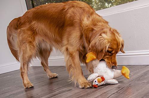 goDog Checkers Fat Rooster With Chew Guard Technology Tough Plush Dog Toy, White, Large