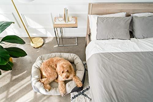 BarksBar Medium Gray Orthopedic Dog Bed - 32 x 22 inches - Snuggly Sleeper with Solid Orthopedic Foam, Extra Comfy Cotton-Padded Rim Cushion and Nonslip Bottom