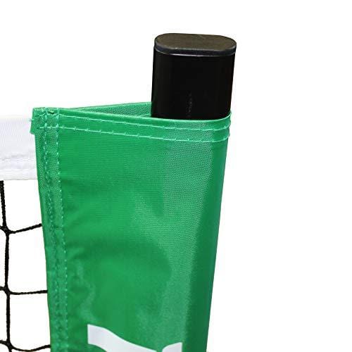 Oncourt Offcourt PickleNet Mini