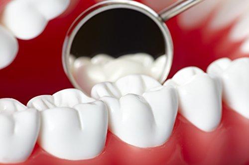 Dental Hygiene Tool Set - Stainless Steel Dental Tooth Pick, Mouth Mirror,Tarter Scraper and Plaque Remover - Dental Tool Kit Is Ideal for Personal Use & Pet Friendly-free Protective Case