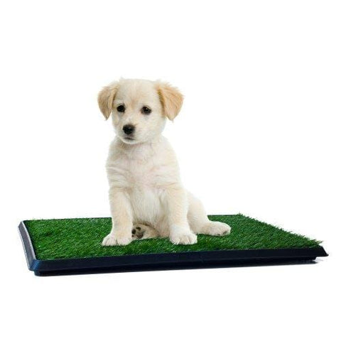 PETMAKER Puppy Potty Trainer - The Indoor Restroom for Pets 16 x 20