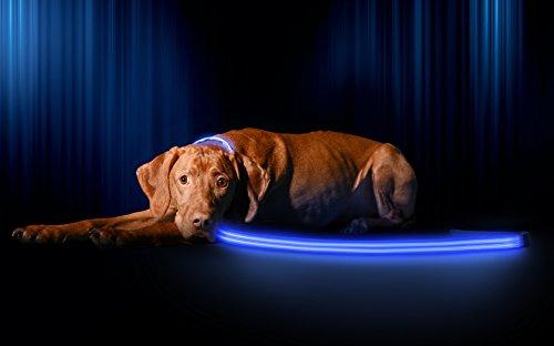 LED Dog Collar - USB Rechargeable - Available in 6 Colors & 6 Sizes - Makes Your Dog Visible, Safe & Seen