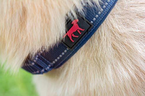 Heavy Duty Dog Collar With Handle | Ballistic Nylon Heavy Duty Collar | Padded Reflective Dog Collar With Adjustable Stainless Steel Hardware | Convenient Sizing for All Breeds