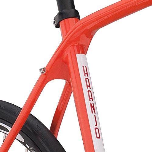 Diamondback Bicycles Haanjo 7C Carbon Gravel Adventure Road Bike, Orange, 59cm/X-Large