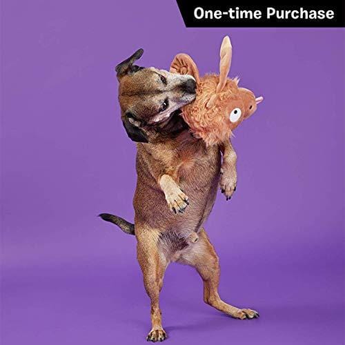 BarkBox Starter Kit Assortment Dog Plush Toys, Chew Toys, Squeak Toys, All-Natural Treats/Chews Made in The USA (2 Toys, 2 Treats & 1 Chew (USA Made), Large Dog)