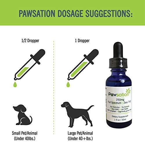 Pawsation Hemp Oil for Dogs and Cats [Organically Grown and Made in USA] Anxiety and Pain Relief Pet Oil that Supports Hip and Joint Health