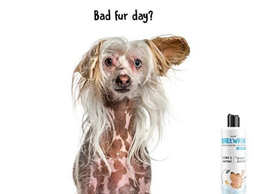 Barkz Barkwash Conditioning Dog Shampoo | Pet Shampoo for Dogs | Helps Relieve Dry, Itchy Skin