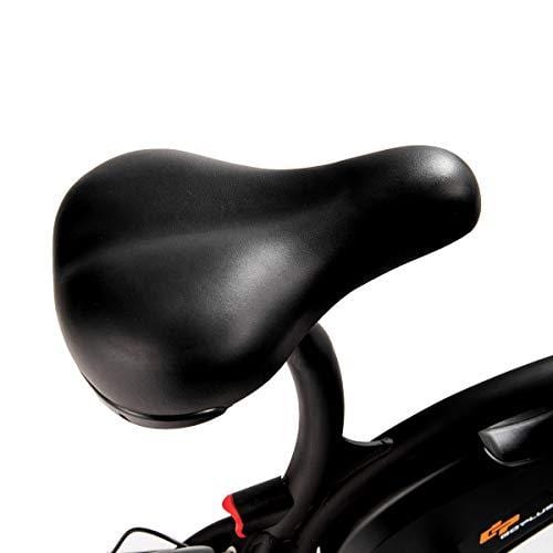 S AFSTAR Safstar Folding Electric Bicycle Lightweight and Aluminum E-Bike 20 mph 12 Mile Range Electric Bike with 350W Powerful Motor and 36V 6Ah Lithium Battery (Black)