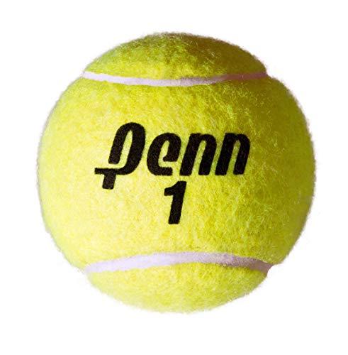 Penn 55108 Tennis Balls Hi-Intensity Yellow 2 can Pack (Total of 6 Balls) - Ultra Pickleball