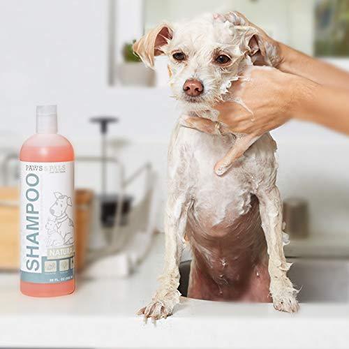 Natural Oatmeal Dog-Shampoo and Conditioner Combo - 20oz Medicated Clinical Vet Formula Wash for All Pets Puppy & Cats - Made with Aloe Vera for Relieving Dry Itchy Skin