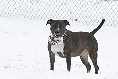 Ultra-Durable Chew Toy - Lifetime Replacement Guarantee - Tested by Pitbulls, German Shepherds, & other Aggressive Chewers & Large Dogs - Tough Strong Durable Natural Rubber - 100% Safe & Non-toxic