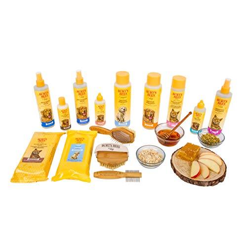 Burt's Bees Tearless Kitten Shampoo with Buttermilk