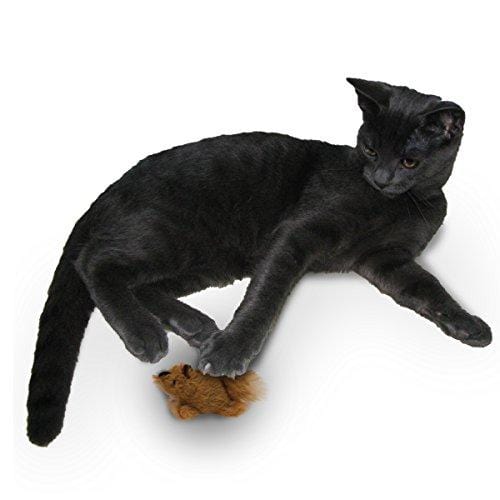 OurPets Play-N-Squeak Backyard Collection Squeaking Interactive Catnip Cat Toy