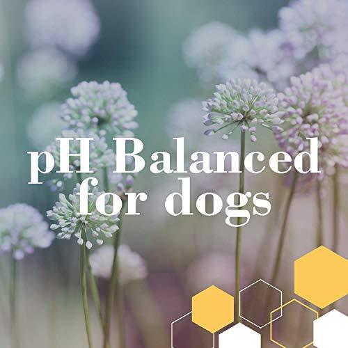 Burt's Bees for Puppies Tearless 2 in 1 Shampoo and Conditioner with Buttermilk and Linseed Oil | Dog Shampoo, 16 Ounces