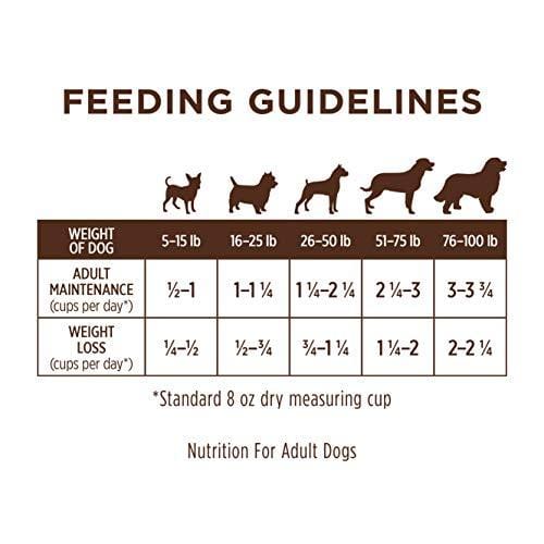 Instinct Limited Ingredient Diet Grain Free Recipe with Real Salmon Natural Dry Dog Food by Nature's Variety, 20 lb. Bag